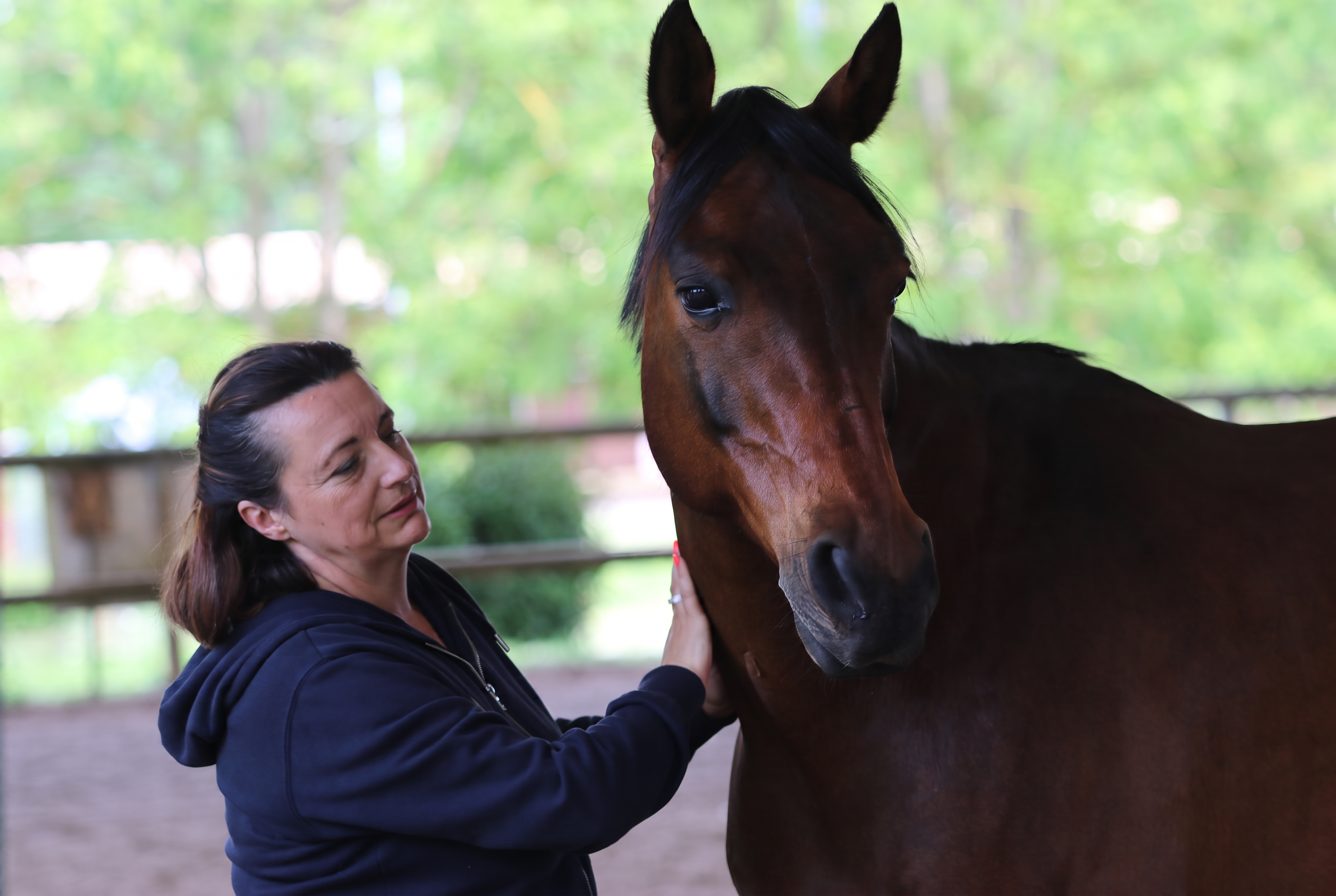 Séance d'équicoaching : une femme marche aux côtés d'un cheval dans une carrière
